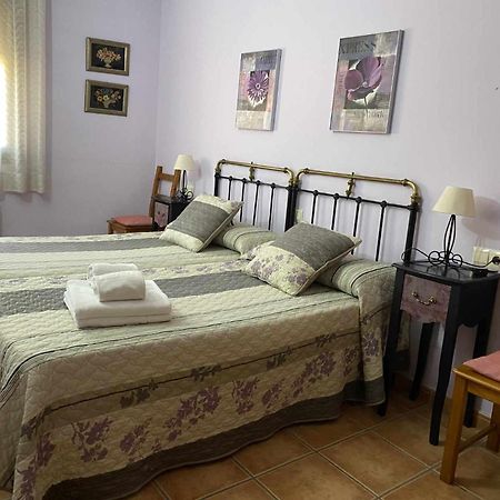 Apartamentos Casa Lola Rodeados De Montanas Y Rios Beceite Dış mekan fotoğraf