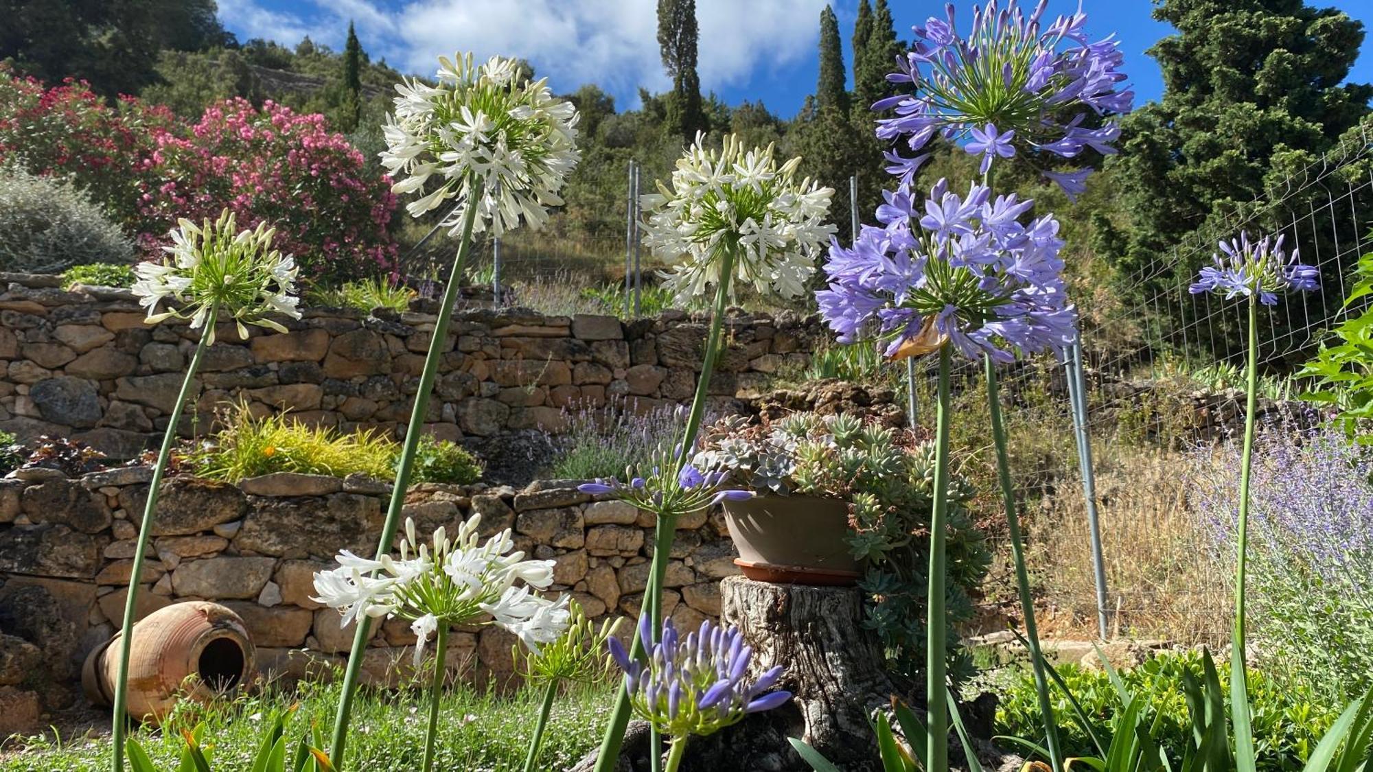 Apartamentos Casa Lola Rodeados De Montanas Y Rios Beceite Dış mekan fotoğraf